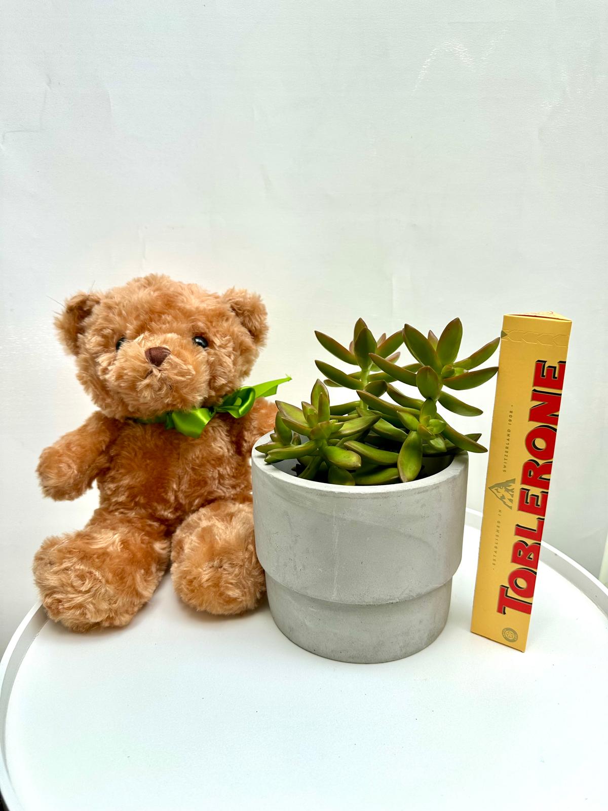 plant gift box