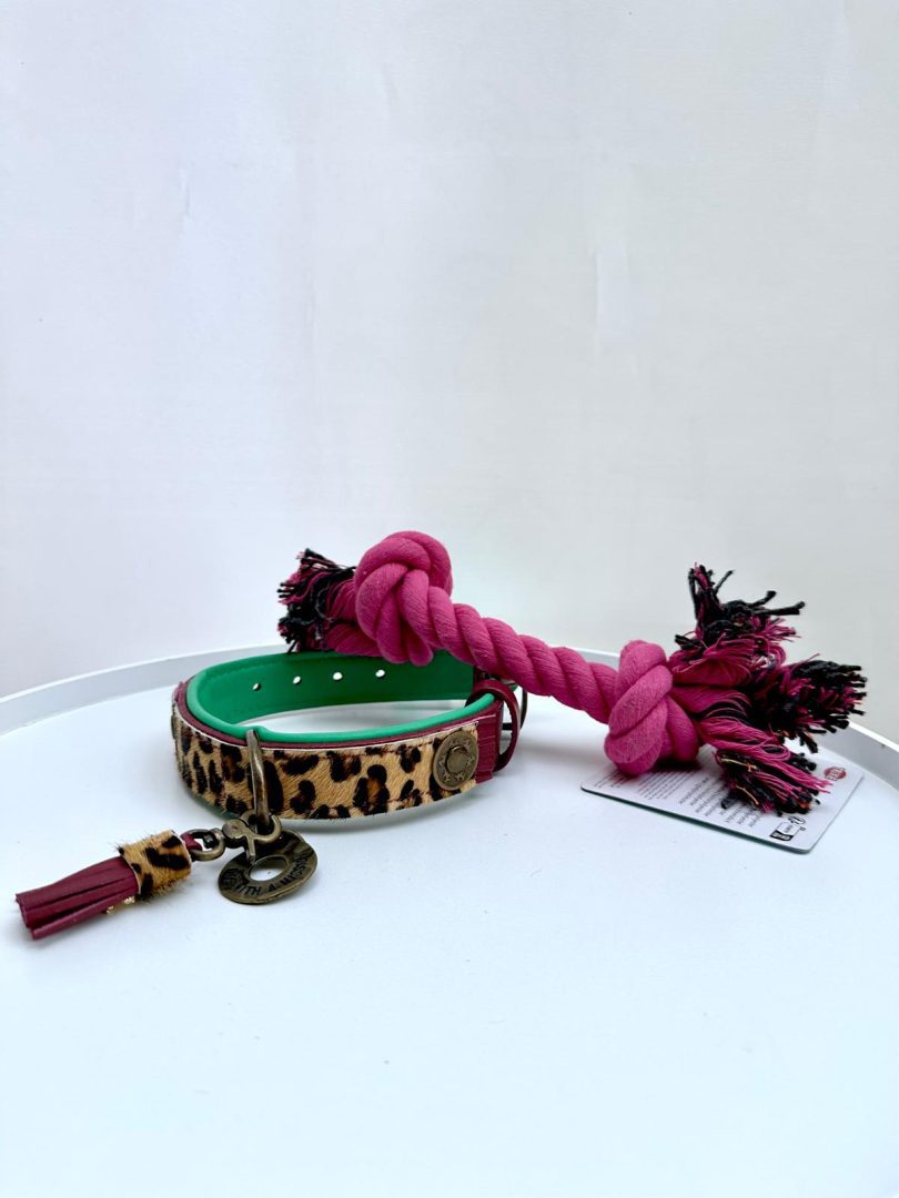 Lou Dog Collar