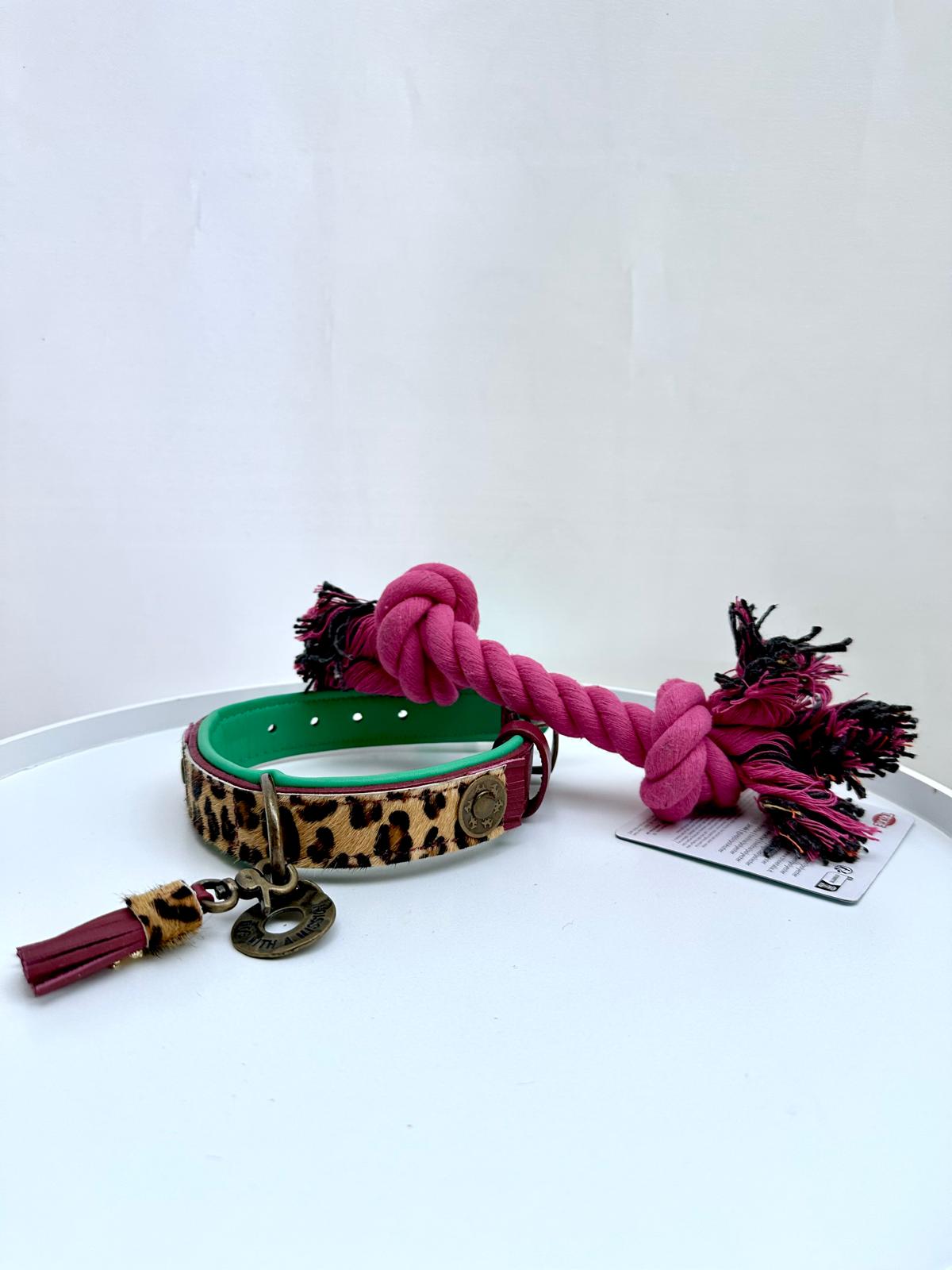 Lou Dog Collar