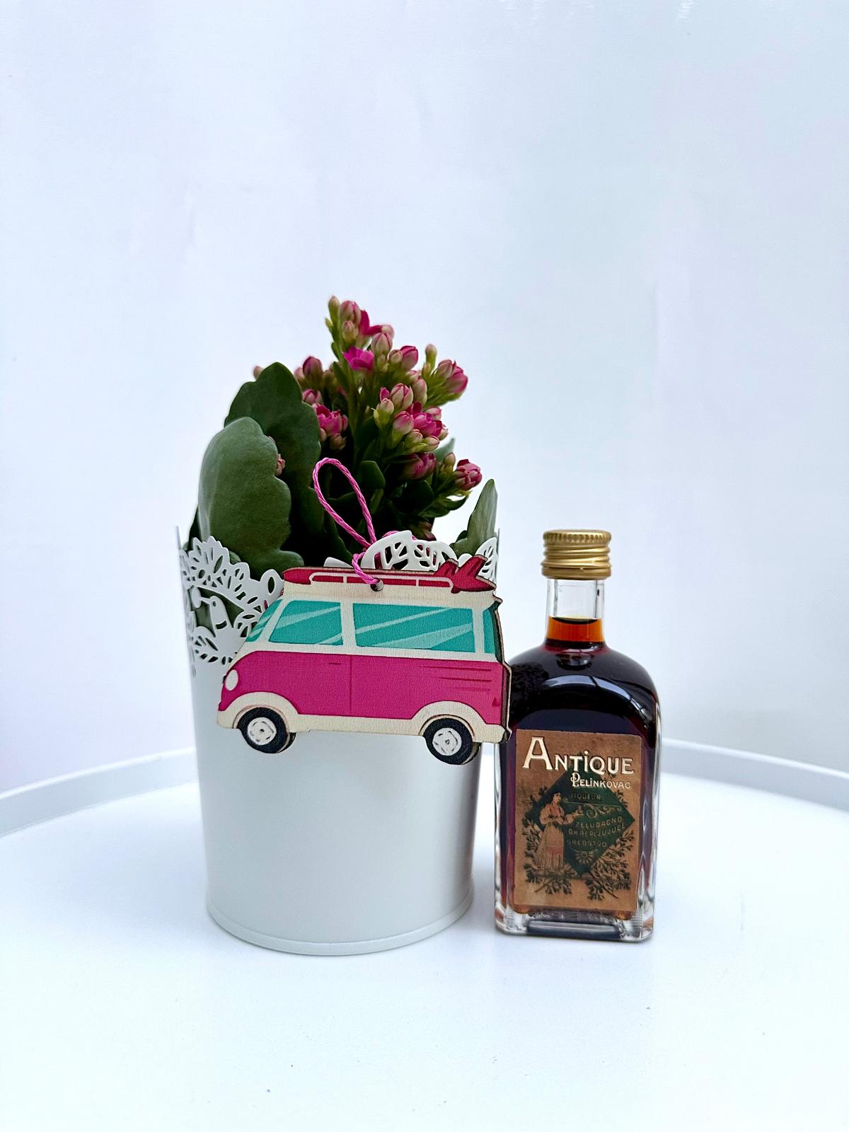 Plant & Spirit Giftbox #71 - Image 2