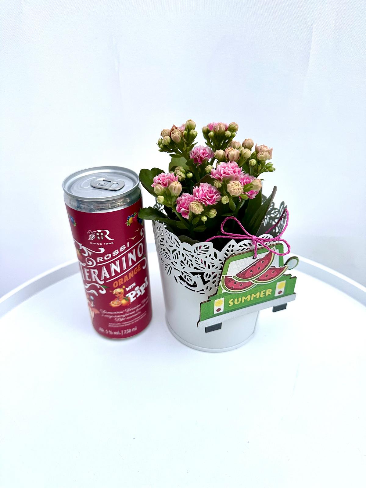Summer Cheers Plant Giftbox #72 - Image 2