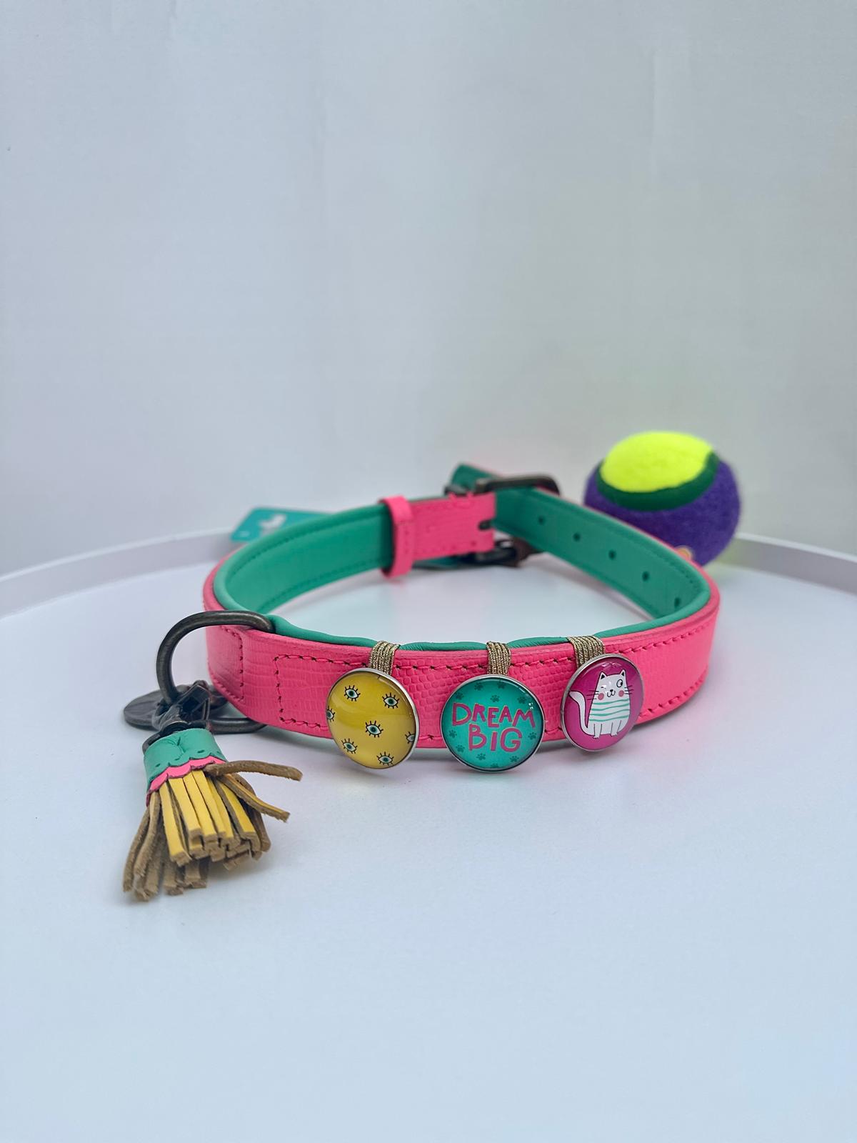 Spice Dog Collar
