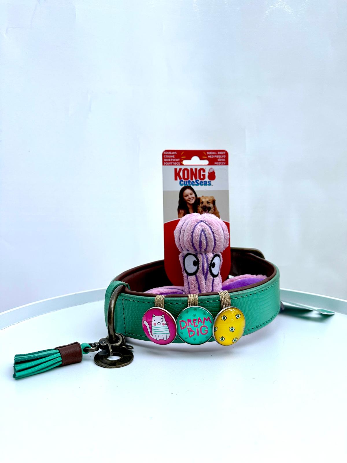 Dog Collar Giftbox