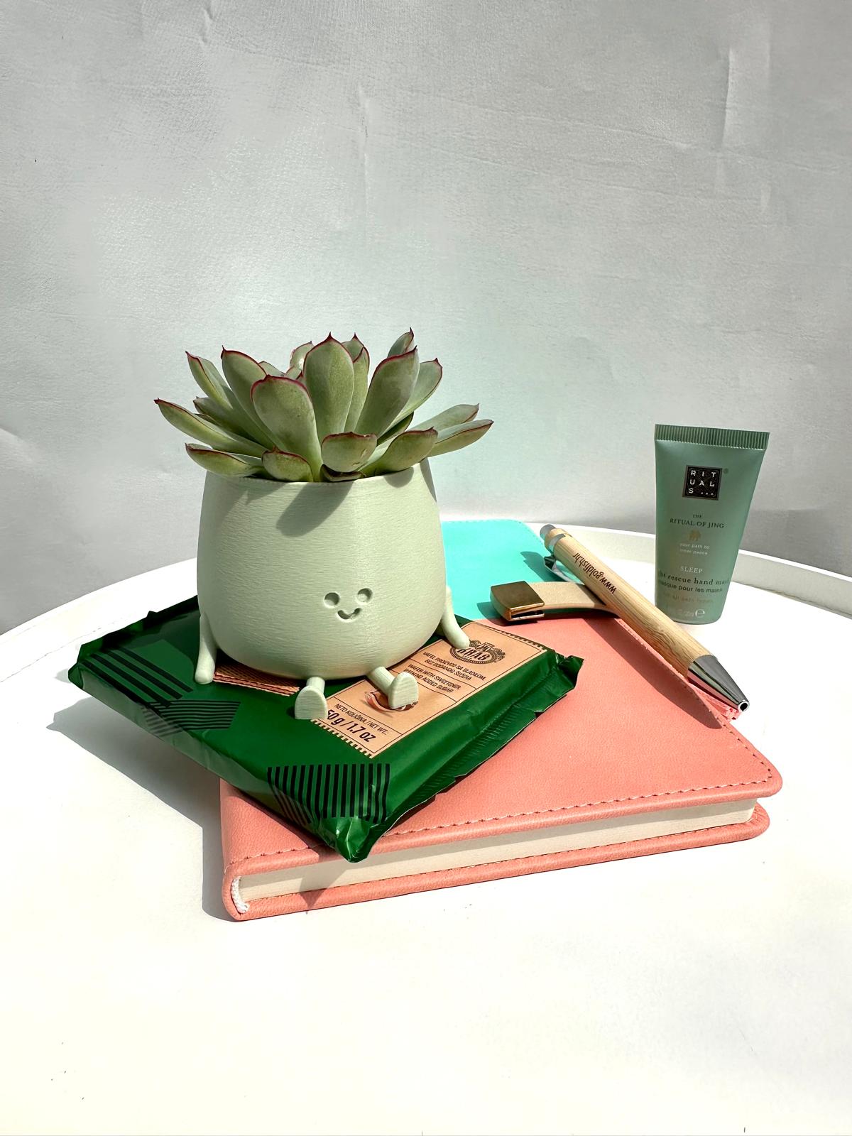 Happy desk plant gift box with a small vibrant green plant and decorative packaging.