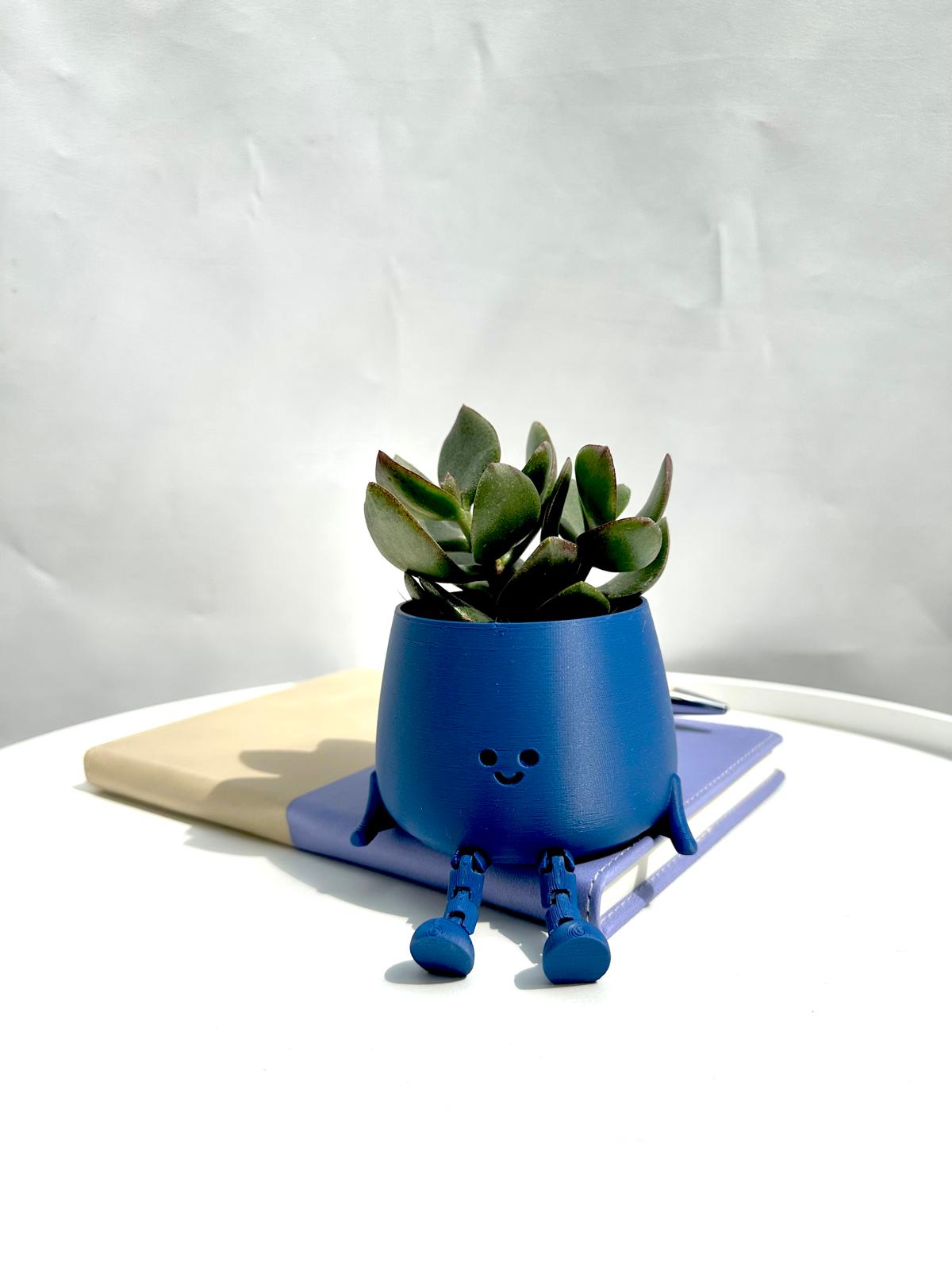 Blue Dreams Plant Giftbox #106 - Image 2