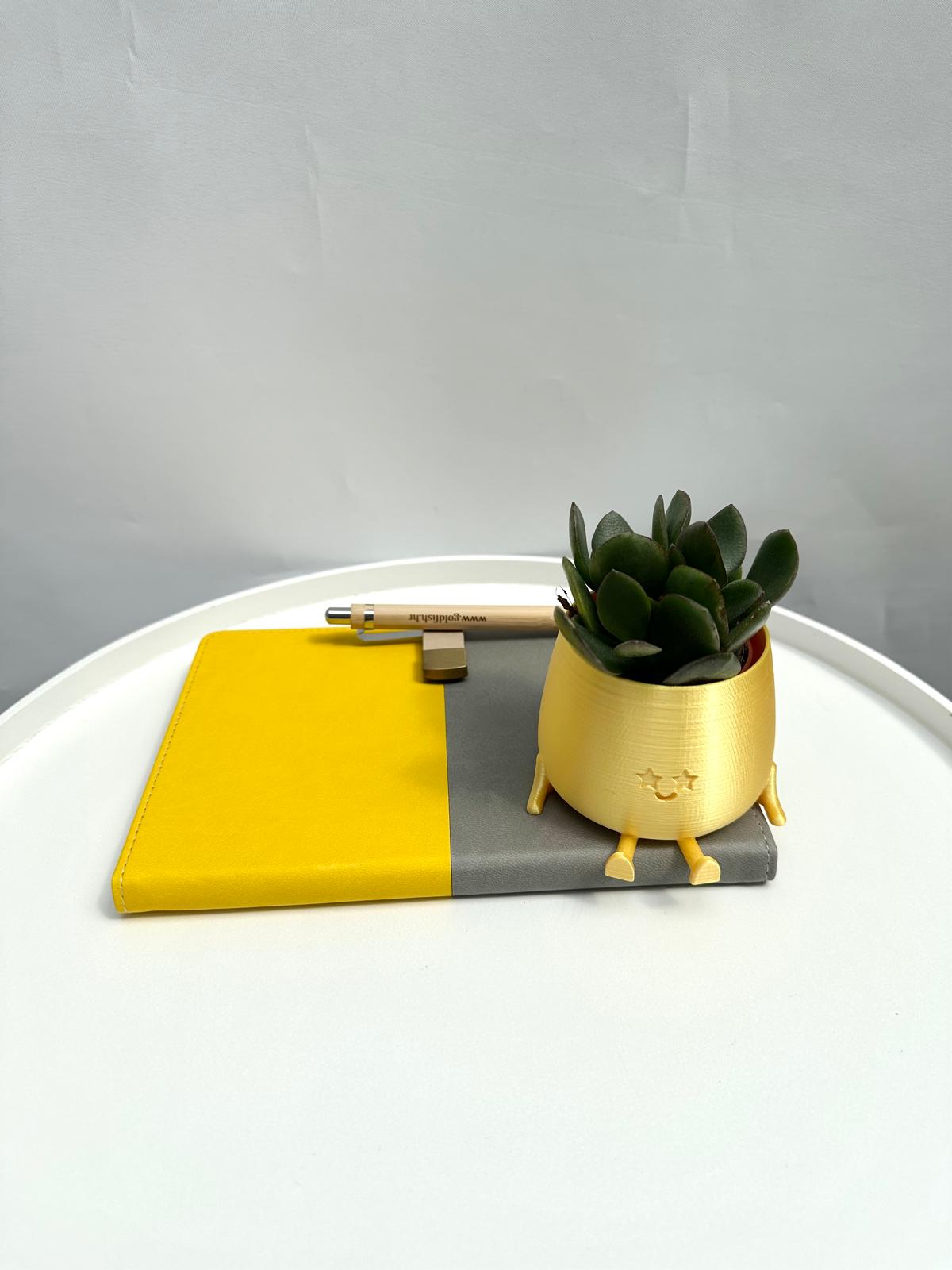 Bright yellow spark plant with vibrant, lively foliage.
