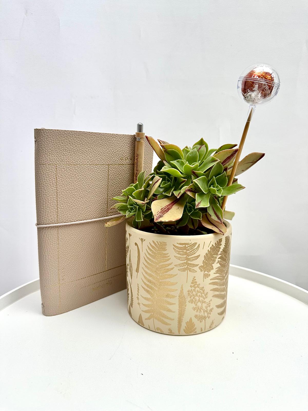 Nature Spark gift box with vibrant greenery and cheerful details.
