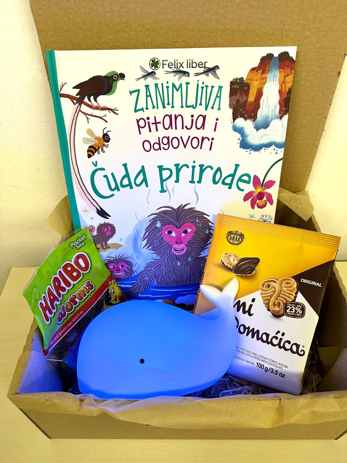 Gift box with a whale lamp shaped like a whale, perfect decorative lighting.