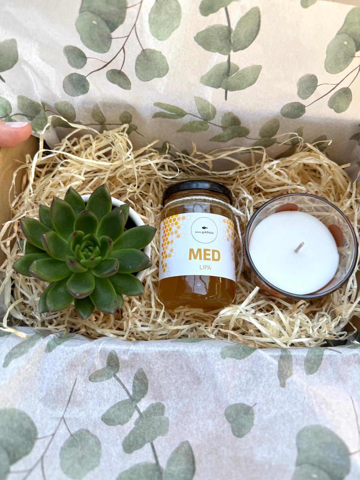 Succulent, honey & hygge candle Giftbox #252 - Image 3
