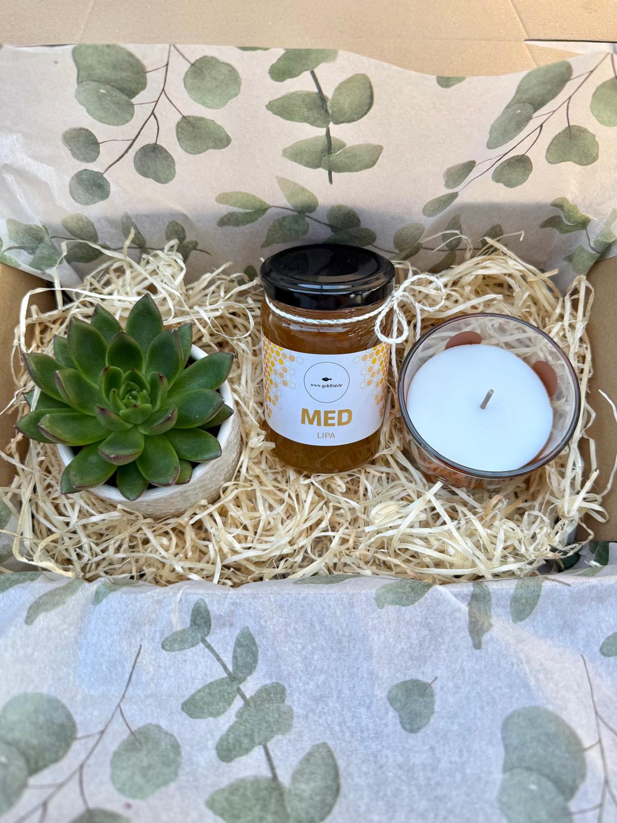 Succulent, honey & hygge candle Giftbox #252 - Image 4