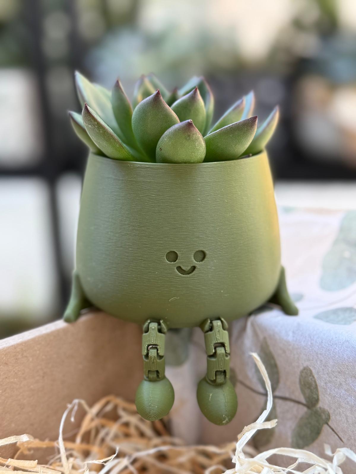 Matcha Smile Zen Set Giftbox #253 - Image 2