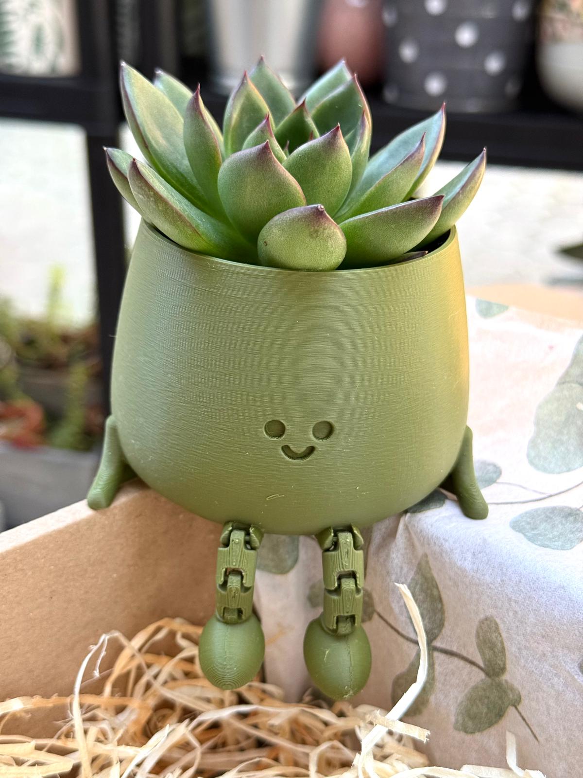 Matcha Smile Zen Set Giftbox #253 - Image 4