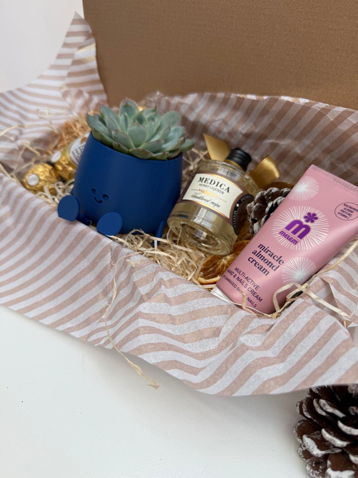 Blue Plant Deluxe Box - Image 2